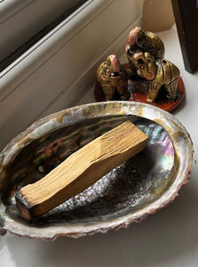 Abalone Shell