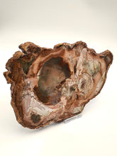 Load image into Gallery viewer, Petrified Wood Slice

