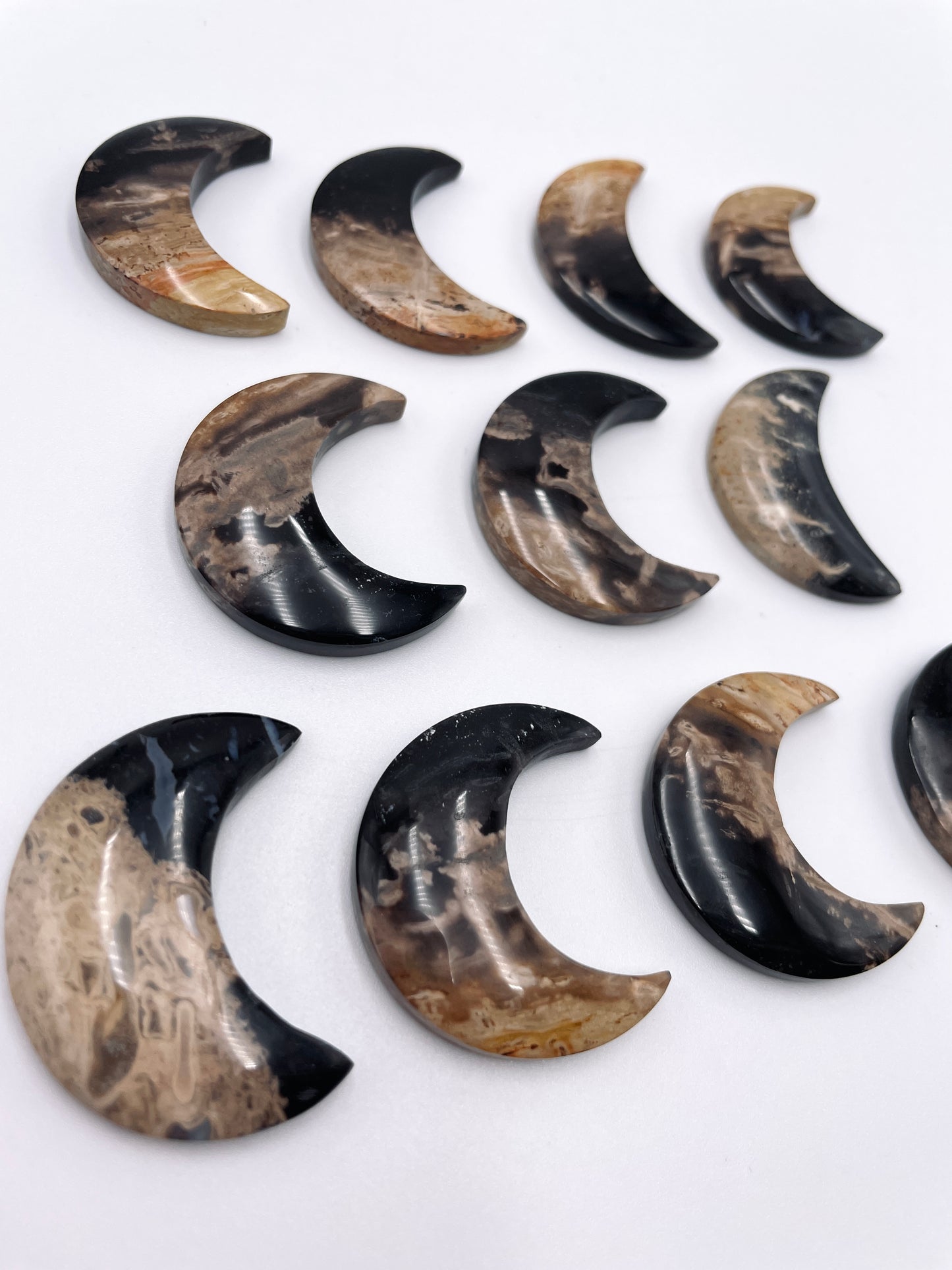Palm Root Moon