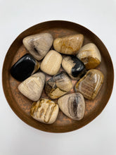 Load image into Gallery viewer, Petrified Wood Tumbled Stone
