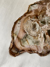 Load image into Gallery viewer, Petrified Wood Slice
