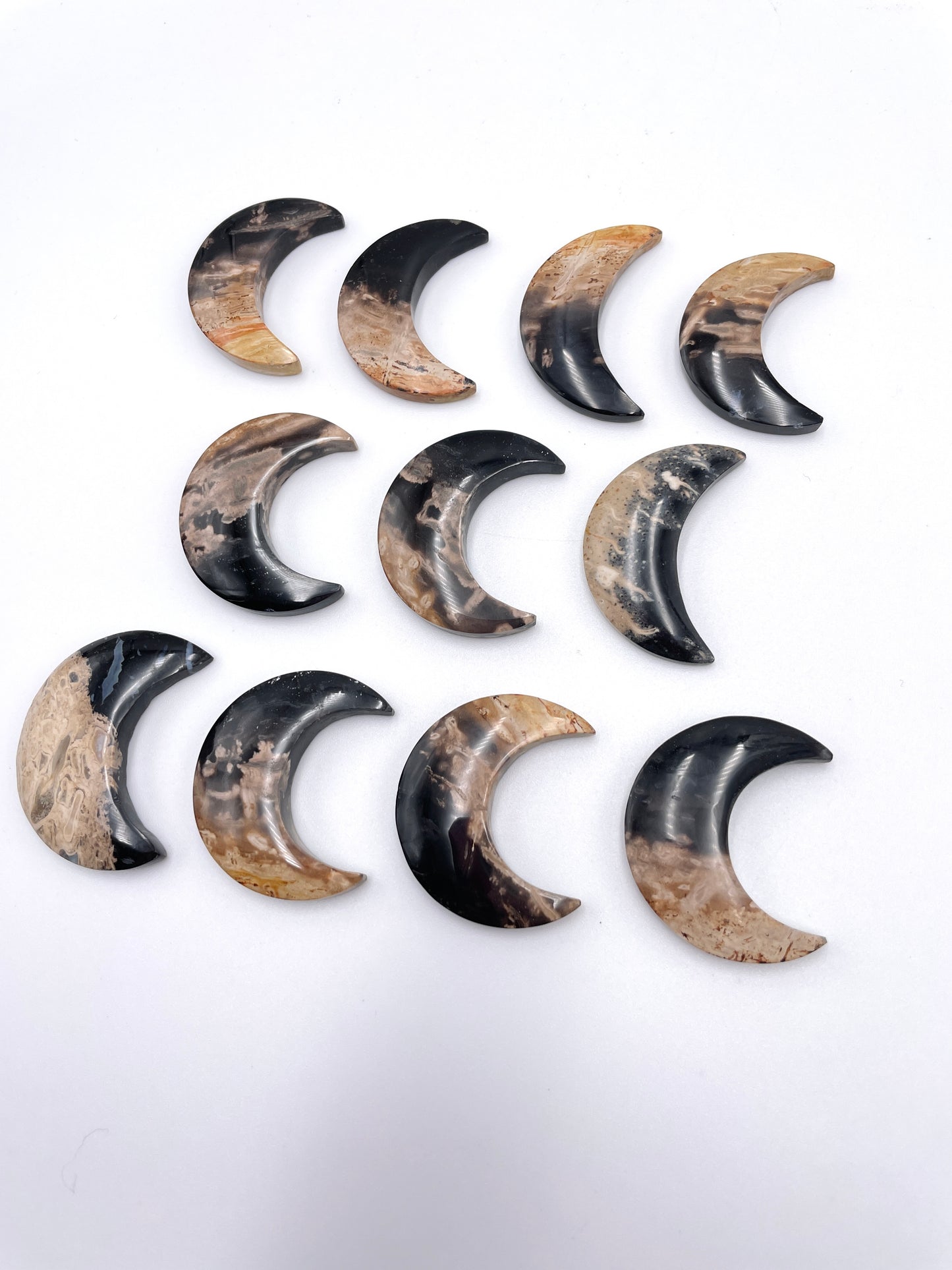 Palm Root Moon