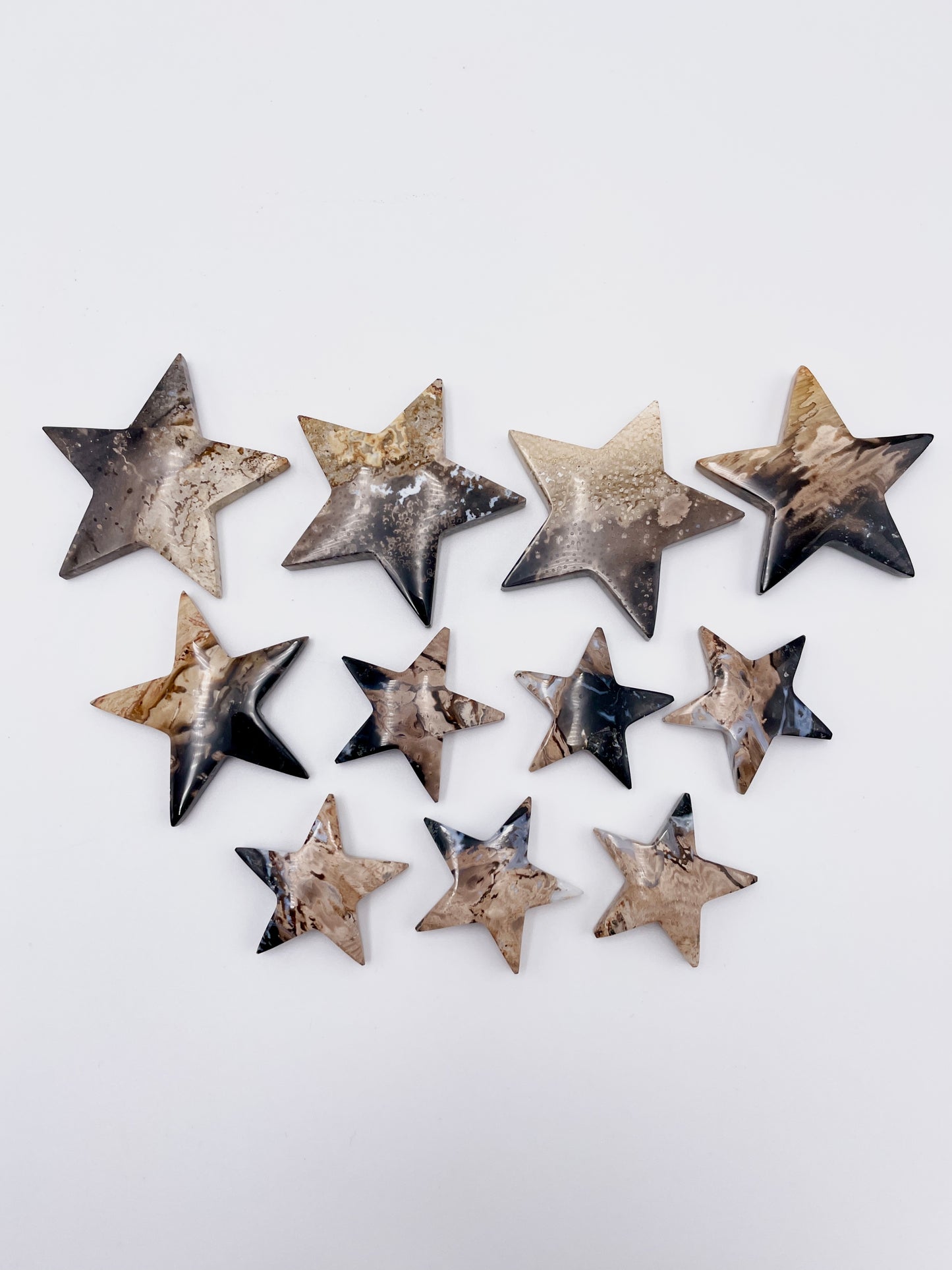 Palm Root Star