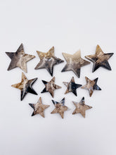 Load image into Gallery viewer, Palm Root Star
