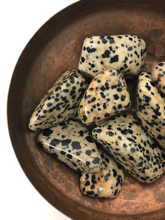 Dalmatian Jasper Tumbled Stone