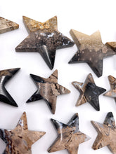 Load image into Gallery viewer, Palm Root Star
