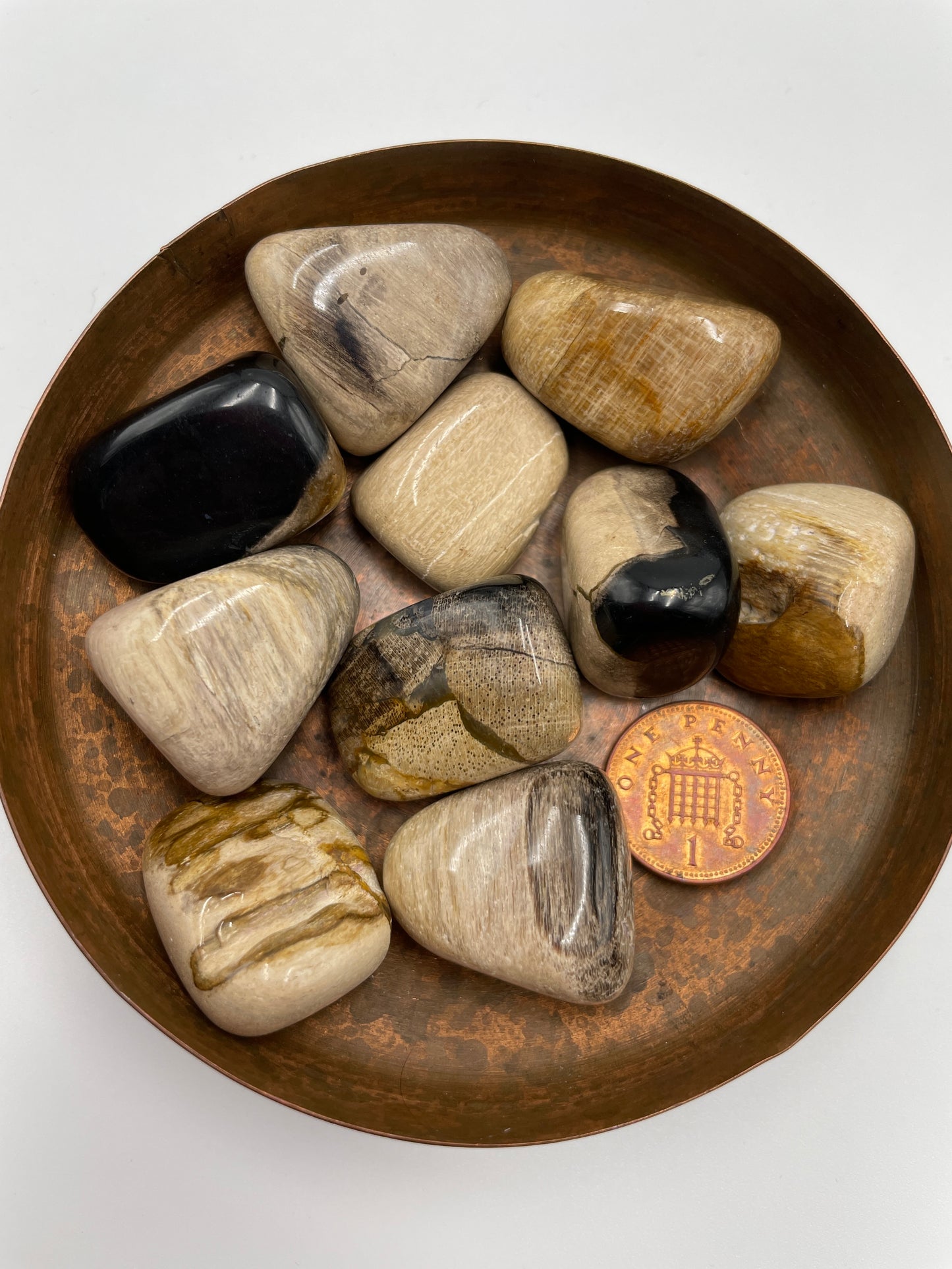 Petrified Wood Tumbled Stone