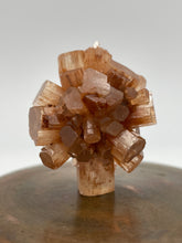 Load image into Gallery viewer, Aragonite Sputnik
