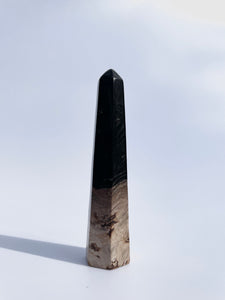 Palm Root Tower