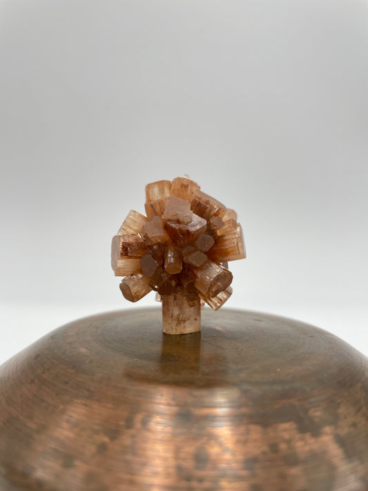 Aragonite Sputnik