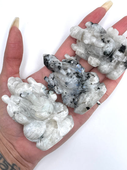 Ganesh - Rainbow Moonstone